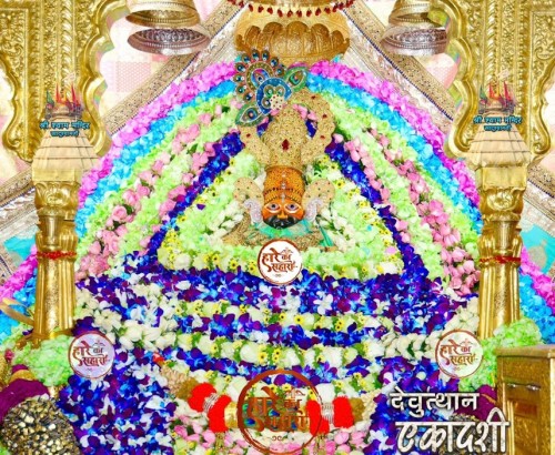 Khatu Shyam Shringar Darshan | 01 November 2025