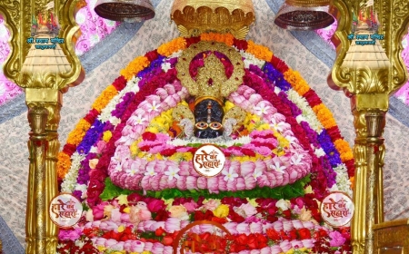 Shri Shyam Baba Khatu Darshan 27 June 2025