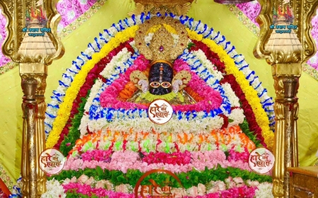 Shri Shyam Baba Khatu Darshan 29 June 2025