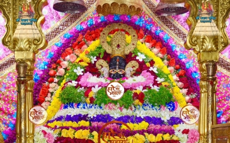 Shri Shyam Baba Khatu Darshan 01 July 2025