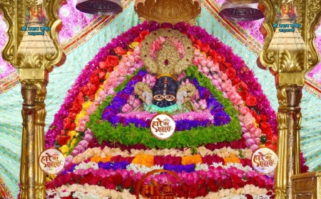 Shri Shyam Baba Khatu Darshan 02 July 2025