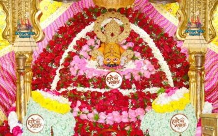 Baba Shyam Ji ke Darshan 29 July 2025