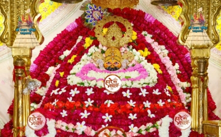 Shri Shyam Baba Khatu Darshan 12 August 2025