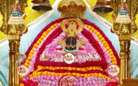 Shri Shyam Baba Khatu Darshan 22 September 2025