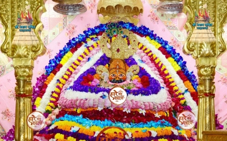 Shri Shyam Baba Khatu Darshan 29 October 2025