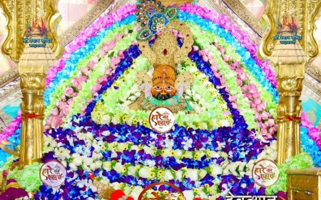 Shri Shyam Baba Khatu Darshan 01 November 2025