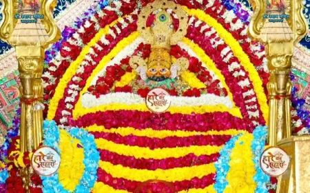 श्री श्याम बाबा | रविवार श्रृंगार दर्शन - Khatu Shyam Darshan