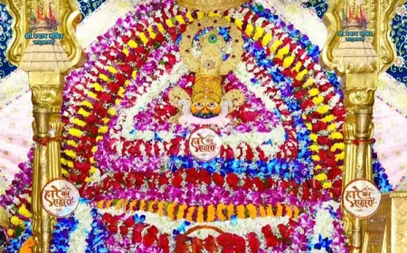 जय श्री श्याम | सोमवार श्रृंगार दर्शन - Khatu Shyam Baba Today Darshan