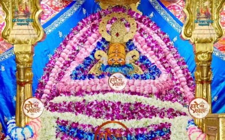 श्री श्याम बाबा | रविवार श्रृंगार दर्शन - Khatu Shyam Darshan