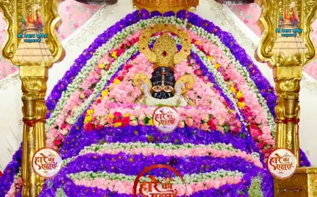 खाटू श्याम मंदिर। शुक्रवार श्रृंगार दर्शन - Khatu Shyam Mandir Aaj ke Darshan