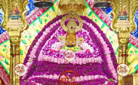 ॐ श्री श्याम देवाय नमः।  मंगलवार श्रृंगार दर्शन - Khatu Shyam Live Darshan
