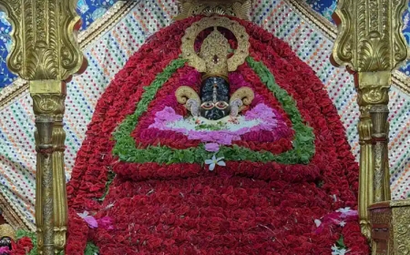 ॐ श्री श्याम देवाय नमः।  मंगलवार श्रृंगार दर्शन - Khatu Shyam Live Darshan