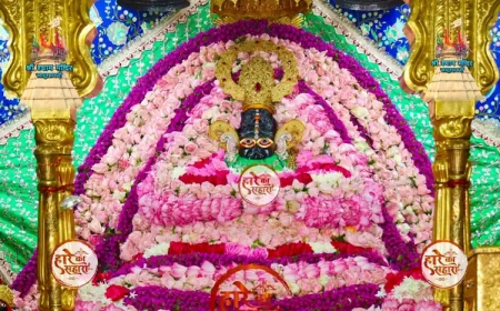 खाटू श्याम जी | शनिवार श्रृंगार दर्शन - Khatu Shyam Today Darshan