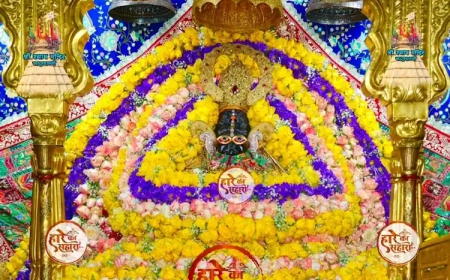श्री श्याम बाबा | रविवार श्रृंगार दर्शन - Khatu Shyam Darshan