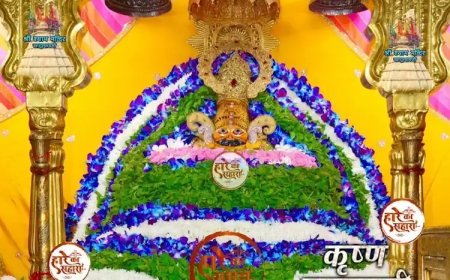 खाटू श्याम मंदिर। शुक्रवार श्रृंगार दर्शन - Khatu Shyam Mandir Aaj ke Darshan