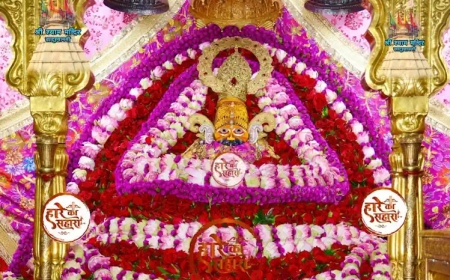 श्री श्याम बाबा | रविवार श्रृंगार दर्शन - Khatu Shyam Darshan