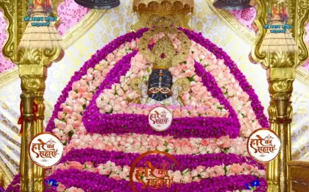 बाबा श्याम जी | बुधवार श्रृंगार दर्शन - Khatu Shyam Baba ke live Darshan